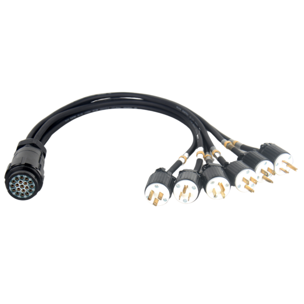 HYPERCORD 3ft 19Pin Female Socapex LSC-19 to 6x Male Edison Breakin Cable